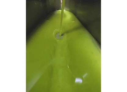 oliwa strumień